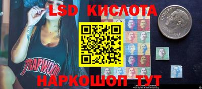 гидра Кандалакша