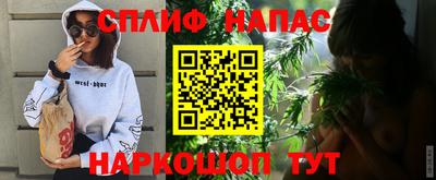 гидра Кандалакша
