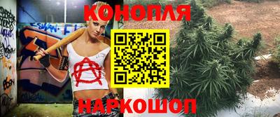 гидра Кандалакша