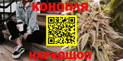 гидра Кандалакша