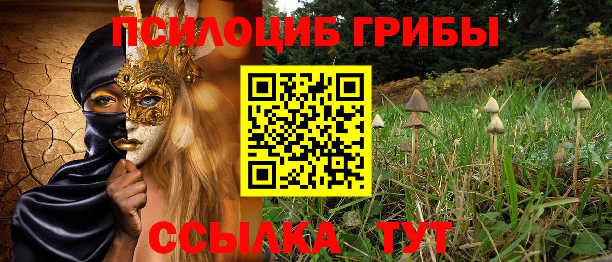 Псилоцибиновые грибы Magic Shrooms  Вход с VPN  Курск  Галлюциногенные грибы мицелий 