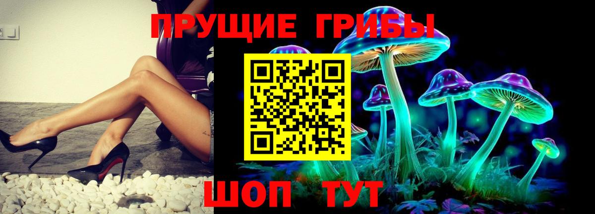 Псилоцибиновые грибы Psilocybe Курск