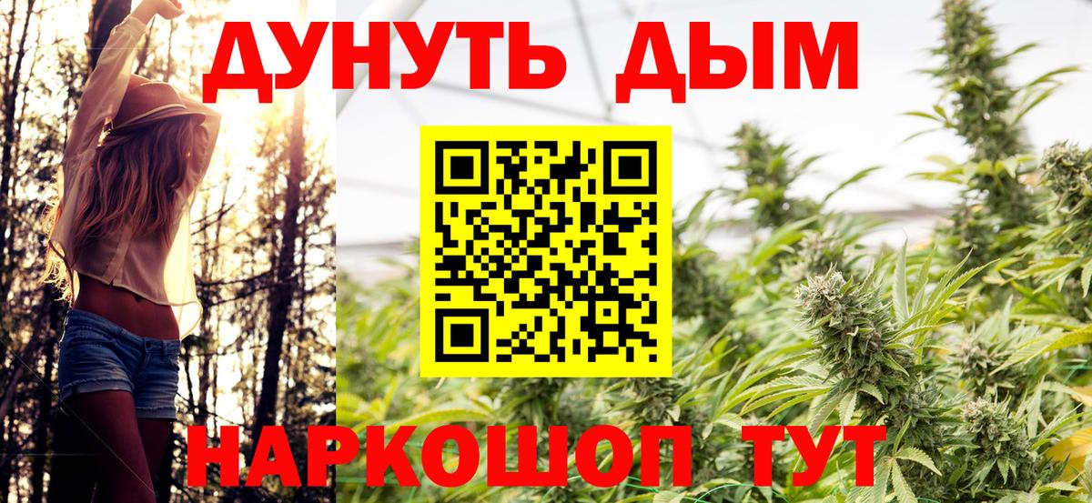 Канабис ГИДРОПОН Курск